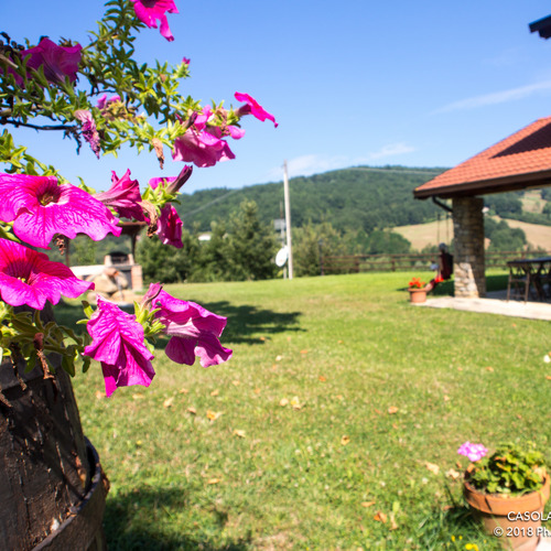 LE MIGLIORI FOTO RICORDO